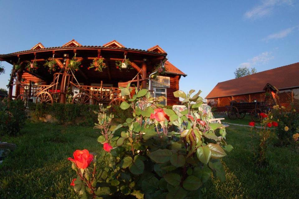 Bed and Breakfast Roenk-Wellness Panzio Mezopeterd Esterno foto